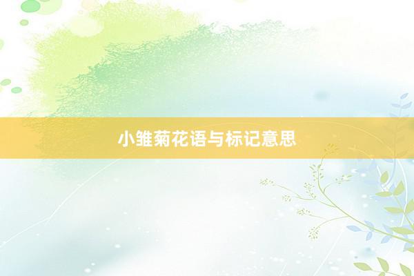 小雏菊花语与标记意思